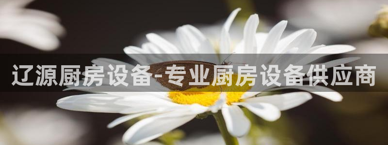 尊龙网站手机下载：辽源厨房设备-专业厨房设备供应商