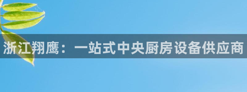 尊龙凯时人生就是搏·(中国)官网：浙江翔鹰：一站式中央厨房设