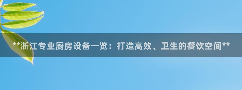 ag尊龙官方网站app：**浙江专业厨房设备一览：打造高效、