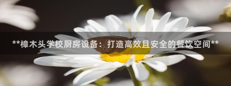 尊龙凯时平台还是万博好：