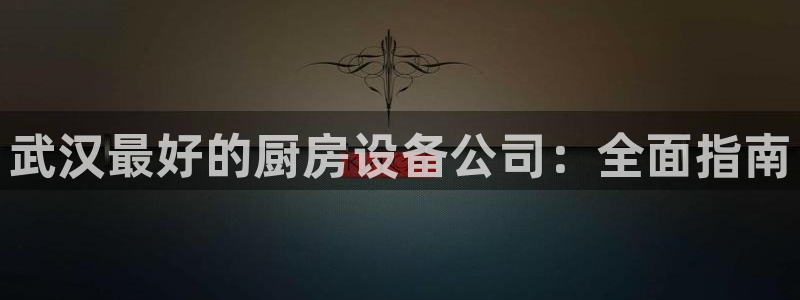 凯时官网手机版首页：武汉最好的厨房设备公司：全面指南