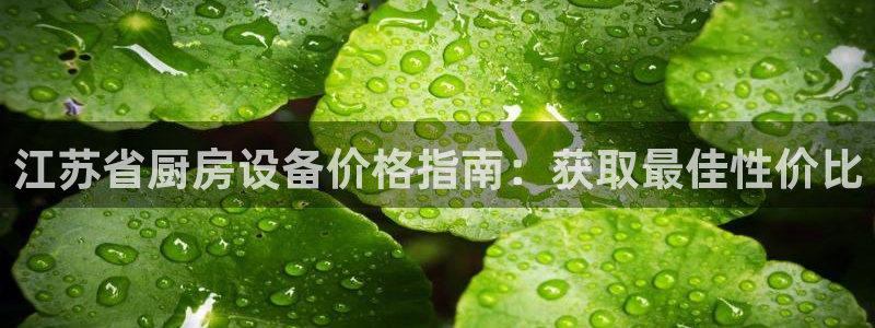 尊龙最近一次露面：江苏省厨房设备价格指南：获取最佳性价比