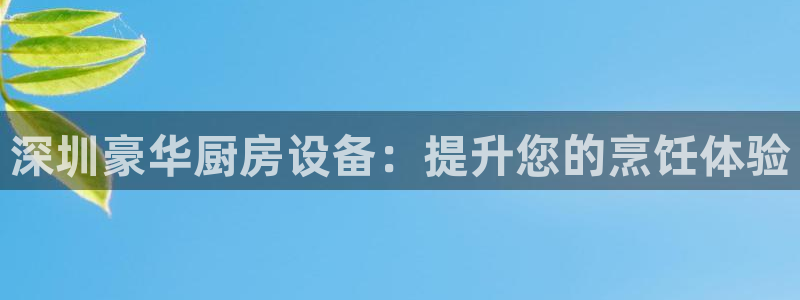 尊龙人生就是一博!：深圳豪华厨房设备：提升您的烹饪体验