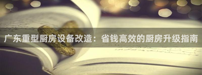 尊龙凯时网页版：广东重型厨房设备改造：省钱高效的厨房升级指南