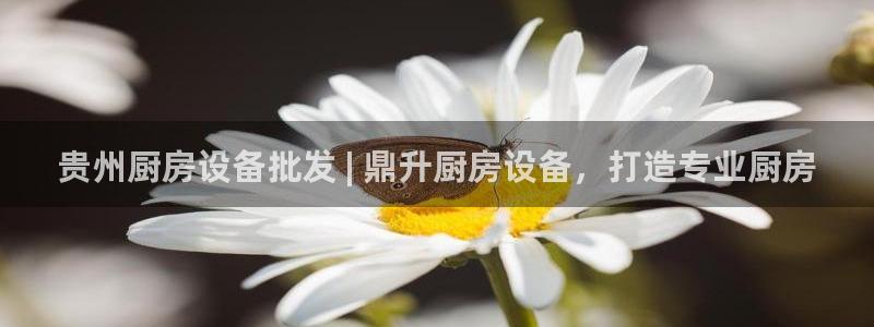 凯时是AG优质运营商：贵州厨房设备批发 | 鼎升厨房设备，打