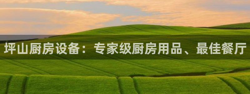 尊龙体育游戏平台：坪山厨房设备：专家级厨房用品、最佳餐厅